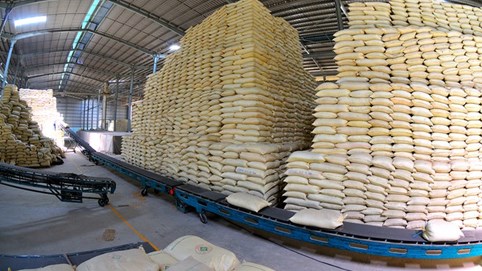 Giá gạo Việt xuất khẩu cao nhất thế giới