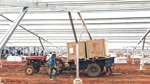 Điện mặt trời áp mái ào ào đổ bộ vì lãi đậm