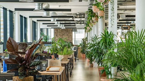 Thị trường văn phòng thiết kế xanh, đa chức năng 'lên ngôi'