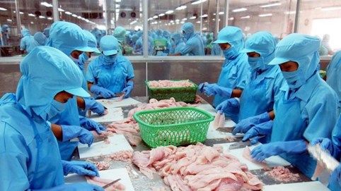 Công ty Vĩnh Hoàn (VHC) muốn phát hành gần 3,7 triệu cổ phiếu ESOP với giá thấp hơn thị trường 86%