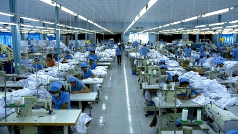 Không công bố thông tin chứng khoán, công ty May Thăng Long bị xử phạt