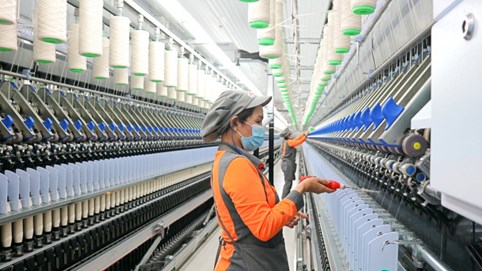 Sợi Thế Kỷ (STK) sắp phát hành gần 43,5 triệu cổ phiếu để trả cổ tức, tỷ lệ 45%