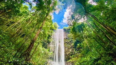 Quảng Ngãi mời đầu tư 3 dự án khu đô thị ở Măng Đen, tổng vốn đầu tư gần 26.500 tỷ đồng