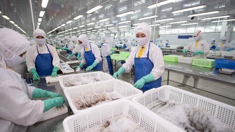 Thực phẩm Sao Ta (FMC) báo doanh thu tháng 8 tăng 32%