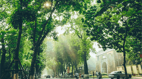 Thời tiết ngày 7/9: Hà Nội ngày oi nóng, chiều tối cục bộ mưa to đến rất to