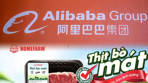 Quỹ đầu tư do Alibaba hậu thuẫn 