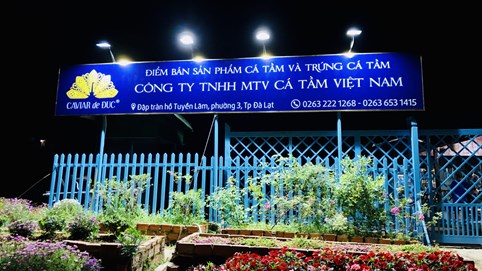 Một công ty của đại gia Đức 