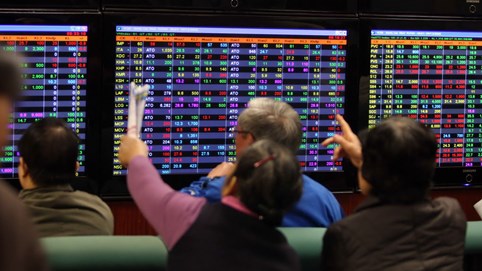 Khi những tay mơ chơi chứng khoán