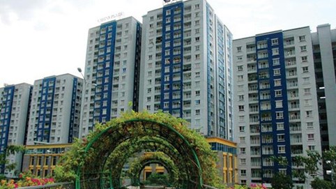 Công ty Năm Bảy Bảy (NBB): muốn đầu tư 2 dự án tổng vốn hơn 10.500 tỷ đồng, thay đổi nhân sự cấp cao