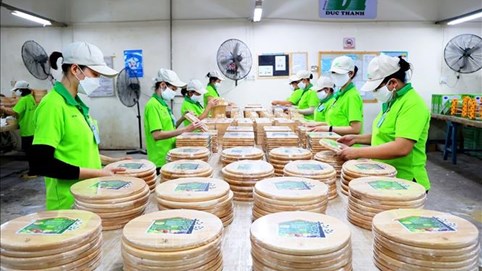 Gỗ Đức Thành (GDT) bị xử phạt hơn 200 triệu đồng vì vi phạm công bố thông tin