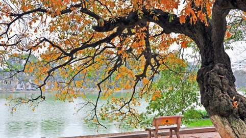 Thời tiết tuần 20 - 26/9: Bắc Bộ, Nam Bộ ngày nắng gián đoạn, chiều tối có mưa rào và rải rác có dông