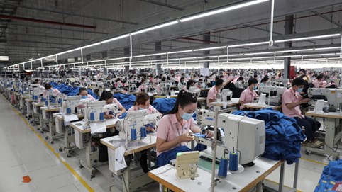 Dệt may Thành Công (TCM) ước lãi tháng 8 giảm 43%, thiếu đơn hàng cho quý IV/2023