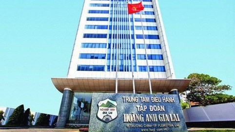 Một lãnh đạo của Hoàng Anh Gia Lai từ nhiệm trước thềm đại hội cổ đông