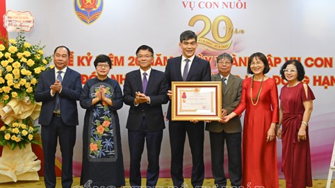Vụ Con nuôi: Đóng góp tích cực vào công tác chăm sóc, giáo dục và bảo vệ trẻ em