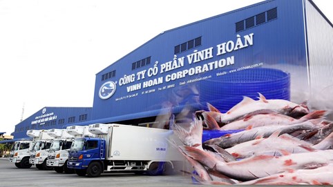 Doanh thu tại thị trường Mỹ trong tháng 8 của Vĩnh Hoàn (VHC) 'sụt' mạnh