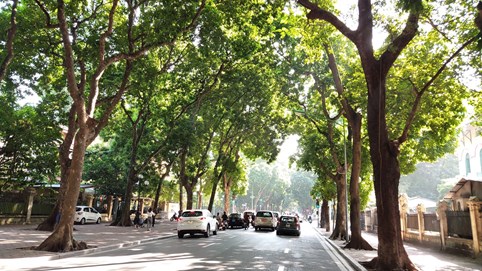 Thời tiết ngày 3/10: Hà Nội, Bắc Trung Bộ ngày nắng, chiều mưa dông 