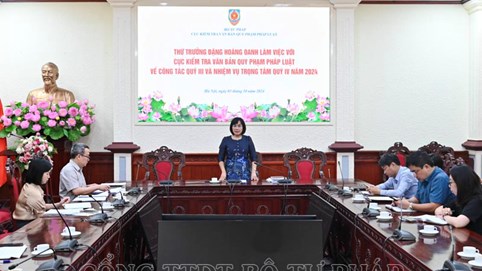 Tăng cường ứng dụng công nghệ thông tin trong kiểm tra, rà soát, hệ thống hóa văn bản quy phạm pháp luật