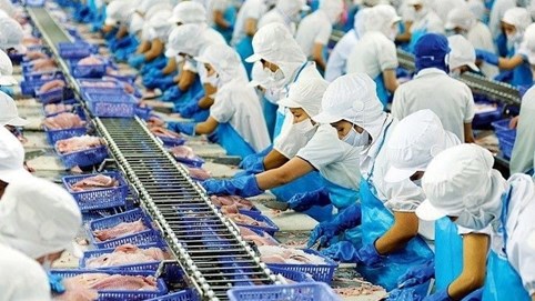 Xuất khẩu thủy sản đạt 8,33 tỷ USD sau 9 tháng, tăng trưởng 15,5%