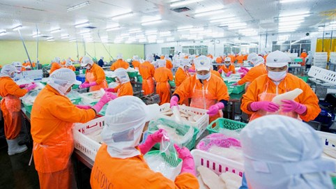 Cổ đông Nam Việt (ANV) sắp nhận gần 270 tỷ đồng cổ tức tiền mặt