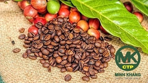 Tân Chủ tịch HĐQT Minh Khang Capital Trading Public (CTP): Giữ vai trò quan trọng tại doanh nghiệp khác, từng có thương vụ bất thành