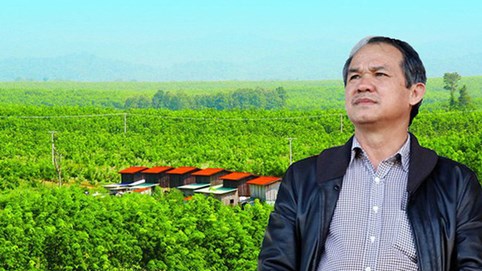 Công ty HAGL của bầu Đức đặt mục tiêu lãi gần 100 tỷ đồng nửa cuối năm, chốt ngày tổ chức đại hội là 26/11