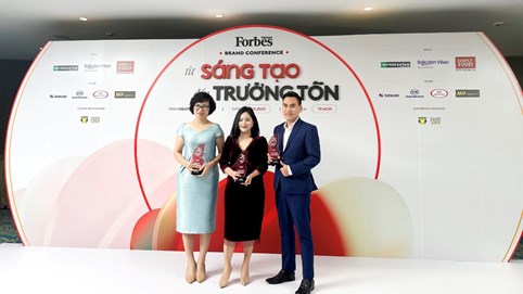 GELEX, Viglacera, CADIVI vào Top 25 thương hiệu dẫn đầu của Forbes Việt Nam