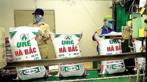 Đạm Hà Bắc (DHB) báo lỗ quý thứ 3 liên tiếp, vốn chủ sở hữu âm hơn 1.000 tỷ đồng