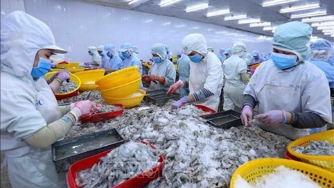 Thực phẩm Sao Ta (FMC): Doanh thu cao kỷ lục nhưng chi phí vận chuyển và thuế kìm hãm đà tăng lợi nhuận quý III/2024 