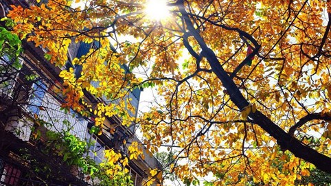 Thời tiết ngày 9/12: Hà Nội có mưa nhỏ, trời rét; Trung Bộ mưa rào