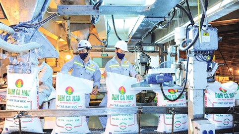 Phân bón Dầu khí Cà Mau (DCM) báo lãi lớn sau 9 tháng đầu năm, vượt 33% kế hoạch lợi nhuận năm 