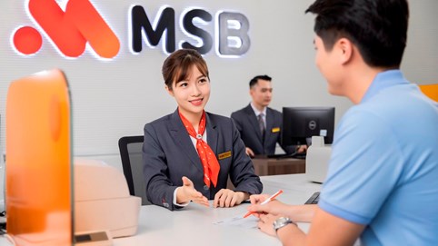 9 cổ đông nắm giữ gần 34% vốn của Ngân hàng Hàng Hải Việt Nam (MSB) 