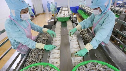 Xuất khẩu nông, lâm, thủy sản đạt gần 45 tỷ USD trong 10 tháng đầu năm 2022