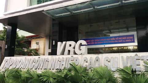 Tập đoàn Công nghiệp cao su Việt Nam (GVR) báo lãi sau thuế quý III/2024 gấp đôi cùng kỳ