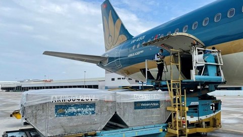 Dịch vụ Hàng hóa Nội Bài (NCT) dự chi 91 tỷ đồng để tạm ứng cổ tức 