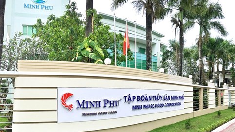 9 tháng đầu năm, Thủy sản Minh Phú (MPC) báo lỗ sau thuế 114 tỷ đồng; hàng tồn kho tăng cao
