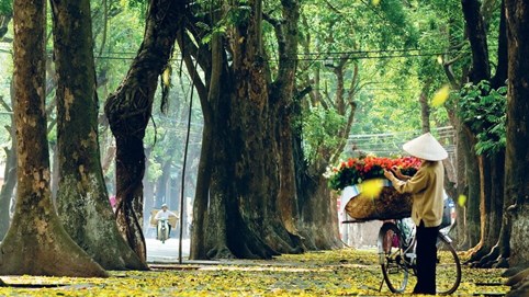 Thời tiết ngày 6/11: Bắc Bộ chuẩn bị đón đợt rét diện rộng và sâu nhất từ đầu năm; Nam Bộ ngày nắng, chiều tối có mưa dông