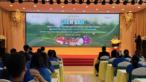 Hội nghị tập huấn tăng cường kỹ năng bán các sản phẩm OCOP qua phương tiện số cho thanh niên nông thôn