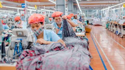 May Sông Hồng (MSH) dự chi gần 188 tỷ tạm ứng cổ tức 2023