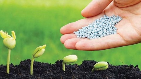 SSI Research: Thay đổi quy định thuế VAT sẽ giúp ngành phân bón nội địa cạnh tranh, hỗ trợ tăng trưởng sản lượng tiêu thụ