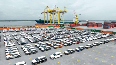 Dàn xe điện VinFast xếp hàng tại cảng Hải Phòng chờ lên tàu sang Mỹ