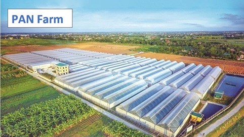 Nợ vay bán niên tăng mạnh, Pan Farm vừa tất toán hơn 200 tỷ đồng gốc, lãi trái phiếu
