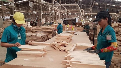 Kết quả kinh doanh 9 tháng giảm mạnh, Gỗ Thuận An (GTA) còn bị phạt và truy thu thuế hơn 134 triệu đồng