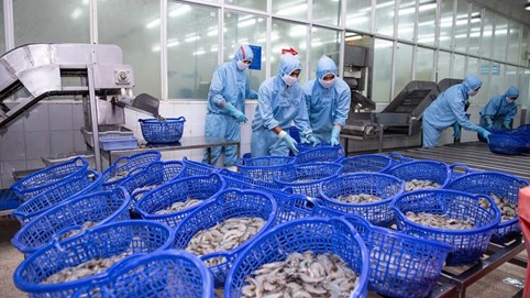 Doanh số tháng 11/2023 của Thực phẩm Sao Ta (FMC) tăng 25% so với cùng kỳ