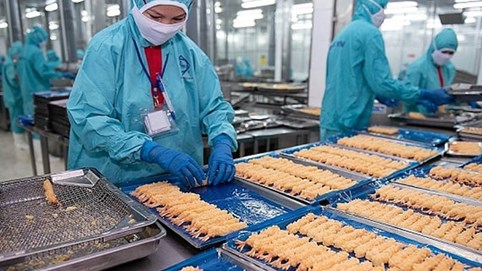 Doanh thu của Thực phẩm Sao Ta (FMC) giảm mạnh trong tháng 11/2025