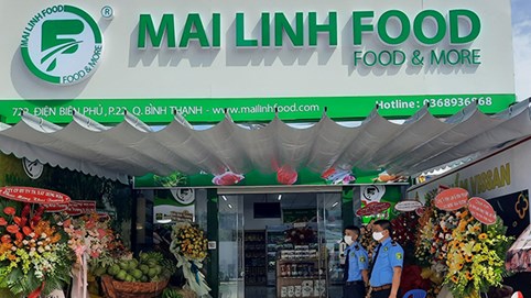 Mảng vận tải lỗ nặng, Taxi Mai Linh 