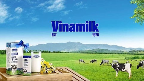 Lãi sau thuế quý III/2024 đạt hơn 2.400 tỷ đồng, Vinamilk (VNM) sắp chi hơn 1.000 tỷ đồng để trả cổ tức 