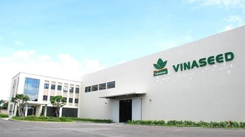 Lợi nhuận 9 tháng giảm sút, Vinaseed (NSC) chuẩn bị chi hơn 35 tỷ đồng trả cổ tức