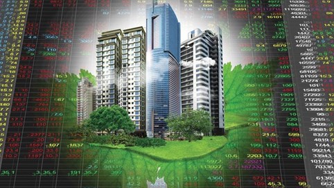 SSI Research chỉ ra nhóm cổ phiếu đang ở vùng định giá thấp và có các yếu tố hỗ trợ ngắn hạn