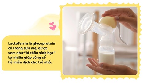 Lactoferrin và bước tiến mới trong dinh dưỡng đề kháng