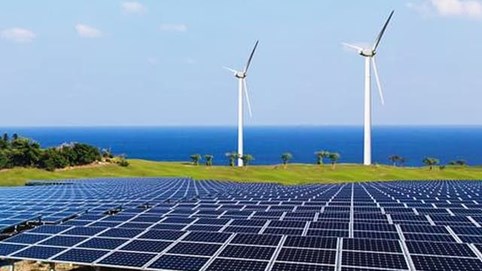 Thủ tướng yêu cầu làm rõ thông tin nhà đầu tư đổ xô làm điện gió ngoài khơi